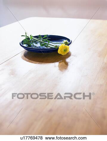 A beautiful yellow rose on wooden table View Large Photo Image Stock Photo - A beautiful yellow rose on wooden table. Fotosearch