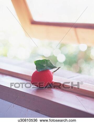 Close up of a red fruit kept near windowpane View Large Photo Image Stock Photograph - Close up of a red fruit kept near windowpane. Fotosearch