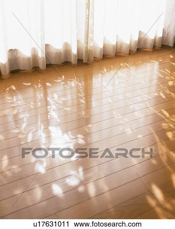Stock Image - Leafy designs of curtain reflected on floor. Fotosearch