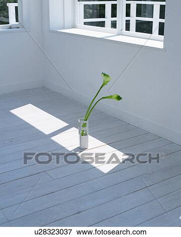 Plant in vase on floor View Large Photo Image Stock Photo - Plant in vase on floor. Fotosearch