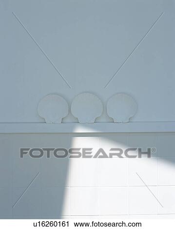 Three white shells hung on white wall View Large Photo Image Stock Image - Three white shells hung on white wall. Fotosearch