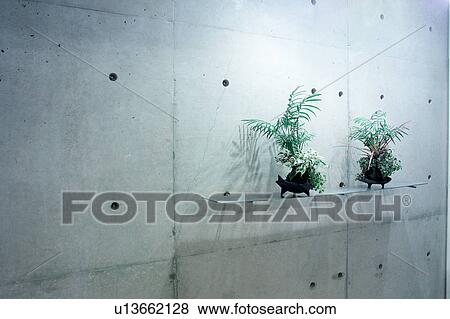 Bare Concrete Wall and moss ball View Large Photo Image Stock Photo - Bare Concrete Wall and moss ball. Fotosearch