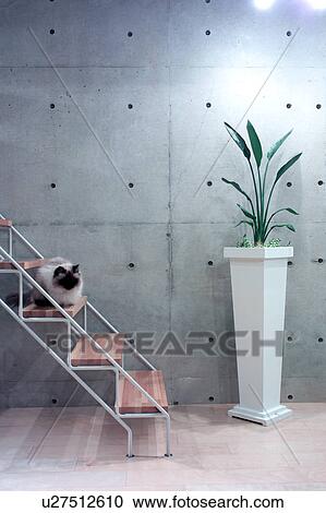 Stock Image - Cat on staircase. Fotosearch