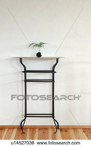 Moss ball on a table View Large Photo Image Stock Photo - Moss ball on a table. Fotosearch
