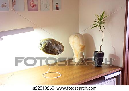 Potted plant on a table View Large Photo Image Stock Image - Potted plant on a table. Fotosearch