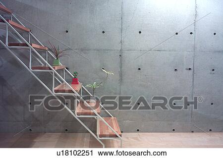 Potted plant on steps View Large Photo Image Stock Image - Potted plant on steps. Fotosearch