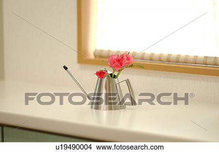 Picture - Roses in a jug. Fotosearch