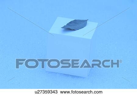 Stock Image - A leaf on a gift box. Fotosearch