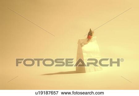 A single paper bag View Large Photo Image Stock Photo - A single paper bag. Fotosearch