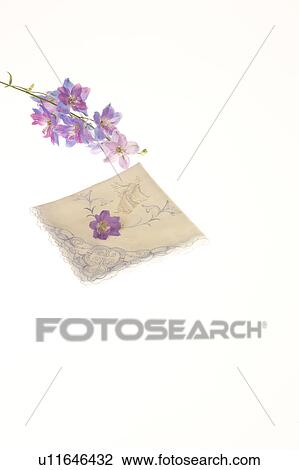 Flower and handkerchief View Large Photo Image Stock Image - Flower and handkerchief. Fotosearch