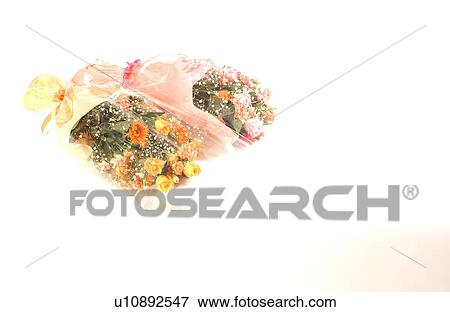 Stock Photo - Flower bouquet. Fotosearch