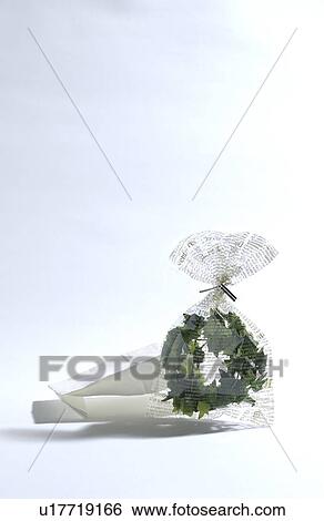 Stock Photograph - Gift. Fotosearch