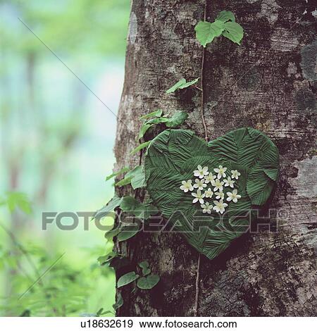 Stock Photo - Heart shaped decoration on a tree trunk. Fotosearch