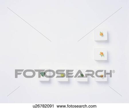 Stock Image - Line up of small gift boxes. Fotosearch