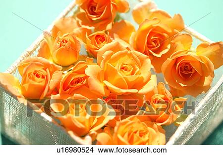 Picture - Orange roses in a basket, close-up. Fotosearch