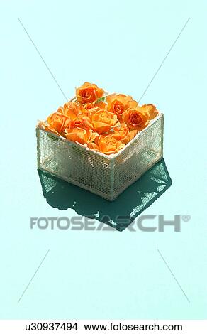 Orange roses in a basket View Large Photo Image Picture - Orange roses in a basket. Fotosearch
