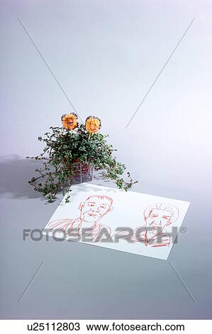 Stock Image - Potted Plant (Muehlenbeckia complexa) and child's drawing. Fotosearch