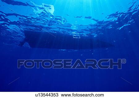 Stock Image - Bottom of boat floating in ocean. Fotosearch