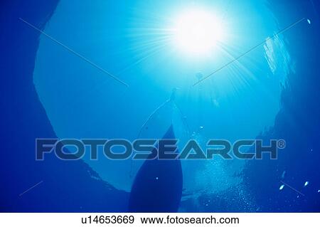 Bottom of boat floating in ocean View Large Photo Image Stock Photo - Bottom of boat floating in ocean. Fotosearch
