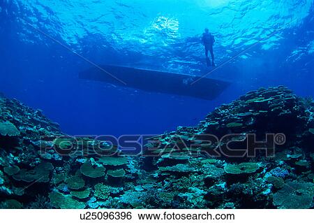 Stock Photograph - Low angle view of a Scuba Diver floating in Okinawa, Japan. Fotosearch