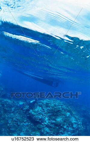 Stock Image - Scuba Diver at bottom of ocean, Okinawa, Japan. Fotosearch