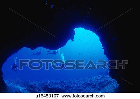 Scuba diver swimming underwater, Okinawa, Japan View Large Photo Image Stock Photo - Scuba diver swimming underwater, Okinawa, Japan. Fotosearch