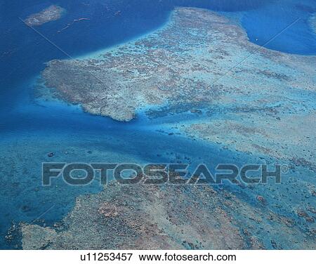 Stock Photo - Aerial view of coral reef. Fotosearch