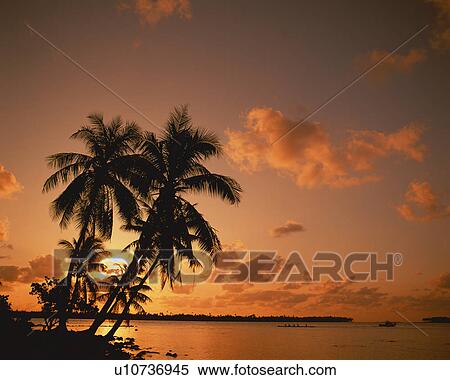 Sunset in Tahiti View Large Photo Image Stock Photography - Sunset in Tahiti. Fotosearch