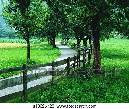 A curved road seen amidst trees View Large Photo Image Stock Photo - A curved road seen amidst trees. Fotosearch