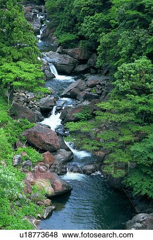 A river among forest View Large Photo Image Stock Photo - A river among forest. Fotosearch