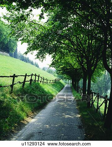 A straight path seen amidst trees View Large Photo Image Picture - A straight path seen amidst trees. Fotosearch