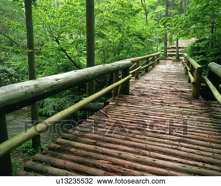 A wooden bridge in woods View Large Photo Image Stock Image - A wooden bridge in woods. Fotosearch
