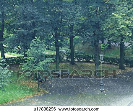 Early morning in a park View Large Photo Image Stock Photograph - Early morning in a park. Fotosearch