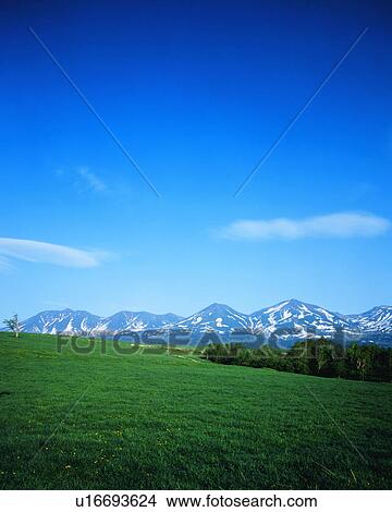 Scenic view of the grassland with snow clad mountains View Large Photo Image Picture - Scenic view of the grassland with snow clad mountains. Fotosearch