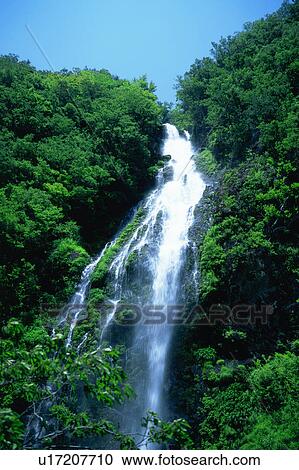 Scenic view of waterfall and trees View Large Photo Image Stock Image - Scenic view of waterfall and trees. Fotosearch