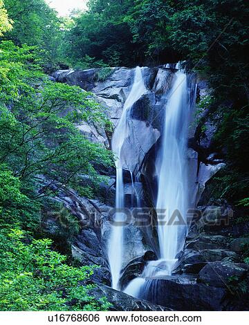 Stock Photograph - Scenic view of waterfall and trees. Fotosearch