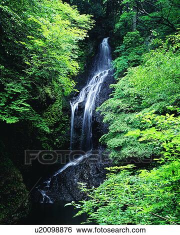 Stock Photograph - Scenic view of waterfall and trees. Fotosearch