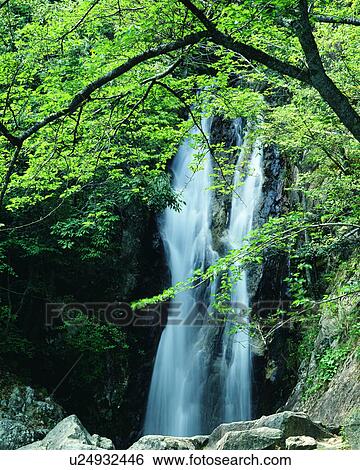 Scenic view of waterfall and trees View Large Photo Image Stock Photograph - Scenic view of waterfall and trees. Fotosearch