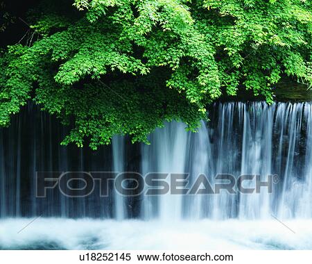 Scenic view of waterfall and trees View Large Photo Image Stock Photography - Scenic view of waterfall and trees. Fotosearch
