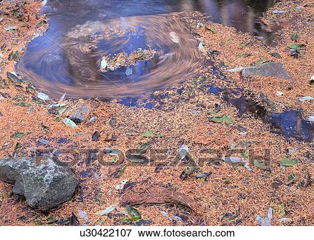 Fallen leaves on river View Large Photo Image Stock Photo - Fallen leaves on river. Fotosearch