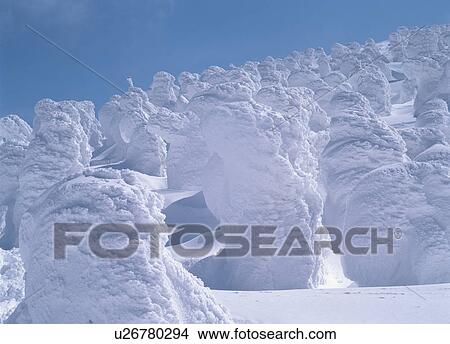 Tree covered by snow View Large Photo Image Picture - Tree covered by snow. Fotosearch