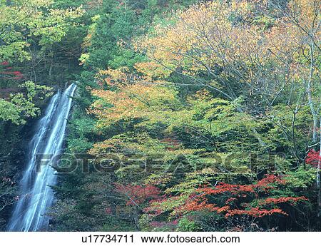 Stock Image - Waterfall in Oyanagawa Valley, Yamanashi, Japan. Fotosearch