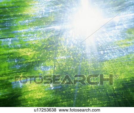 Stock Photo - Bright sunlight falling through trees. Fotosearch