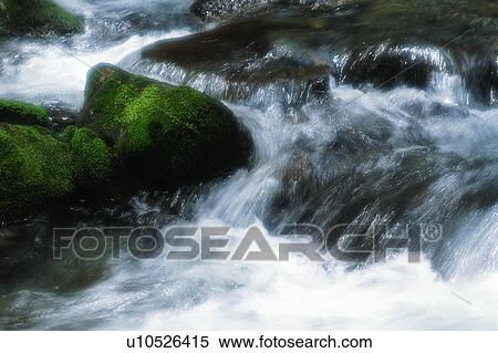 Stock Photography - Stream, close-up. Fotosearch