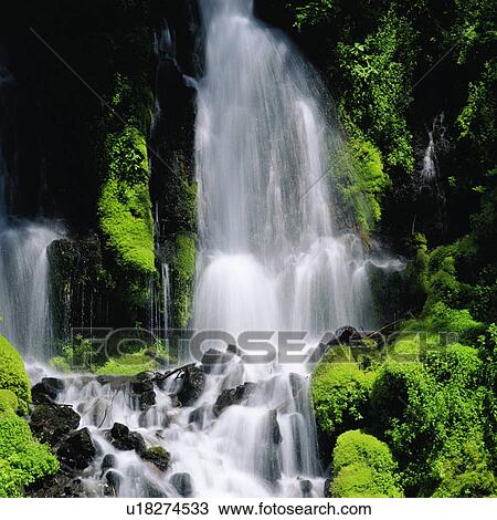 Stock Image - Waterfall and rocks covered by moss. Fotosearch