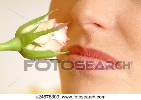 Stock Photo - Close-up of female face with single white rose. Fotosearch