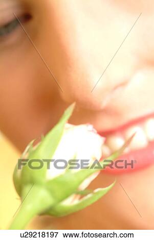 Close-up of female face with single white rose View Large Photo Image Stock Photo - Close-up of female face with single white rose. Fotosearch