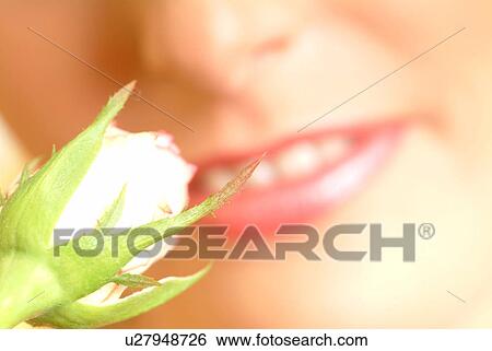 Close-up of female face with single white rose View Large Photo Image Stock Photograph - Close-up of female face with single white rose. Fotosearch
