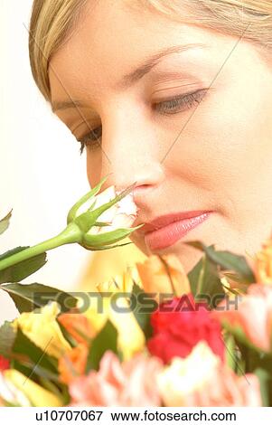 Portrait of Woman sniffing single rose, bouquet in foreground View Large Photo Image Stock Photo - Portrait of Woman sniffing single rose, bouquet in foreground. Fotosearch
