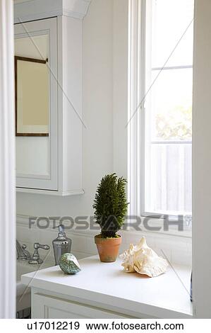 Stock Photo - Clean Half Bathroom with Plant. Fotosearch
